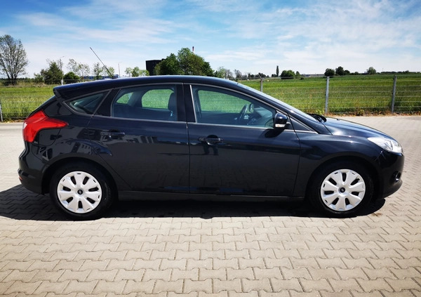 Ford Focus cena 23900 przebieg: 185800, rok produkcji 2013 z Złocieniec małe 154